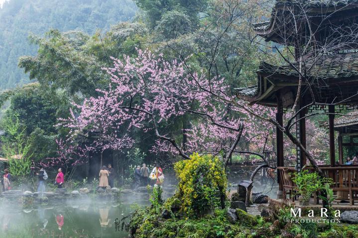 神谕文明